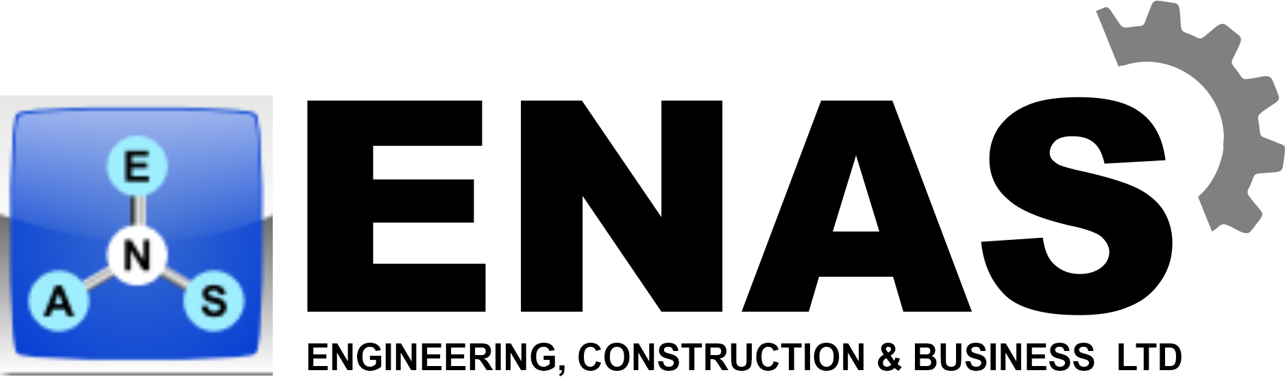 ENAS LOGO